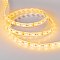 Светодиодная лента RTW 2-5000SE 12V Yellow 2x (5060, 300 LED, LUX) (Arlight, 14.4 Вт/м, IP65)