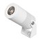 Светильник ALT-RAY-R44-8W Day4000 (WH, 33 deg, 230V) (Arlight, IP67 Металл, 3 года)