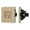 Механизм компьютерной розетки SCT-TENDO-MPC1-SFPL-GD (RJ-45, CAT6) (Arlight, Матовый песочный)