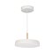 Светильник SP-ELEGANT-R300-17W Day4000 (WH, 120 deg, 230V) (Arlight, IP20 Металл, 3 года)