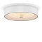 Потолочный светильник FR10011CL-L24W Элементы 24 Вт LED