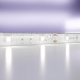 Светодиодная лента 12В 5050 7,2Вт/м 6000K 5м IP65