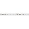 Светодиодная лента RT-20000 24V White5500 (3528, 60 LED/m, 20m) (Arlight, 4.8 Вт/м, IP20)
