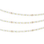 Светодиодная лента RZ-A140-10mm 24V White-MIX (15 W/m, IP20, 5m) (Arlight, Изменяемая ЦТ)