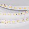 Светодиодная лента UL-A160-10mm 24V Day-MIX (12 W/m, IP20, 5m) (Arlight, Изменяемая ЦТ)
