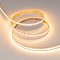 Светодиодная лента ULTRA-C180-10mm 24V Warm2700 (19.2 W/m, IP20, 5630, 5m) (Arlight, высок.эфф.200 лм/Вт)