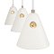 Подвесной светильник FR5211PL-03W Уютный / Cozy E14x3