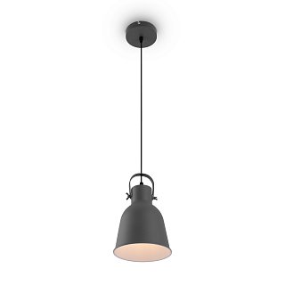 Подвесной светильник FR4035PL-01GR Твист / Twist E27x1