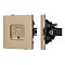 Механизм компьютерной розетки SCT-TENDO-MPC1-SFPL-GD (RJ-45, CAT6) (Arlight, Матовый песочный)