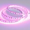 Светодиодная лента RT 2-5000 12V Pink 2X (3528, 600 LED, LUX) (Arlight, 9.6 Вт/м, IP20)