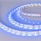 Светодиодная лента RT-A60-8mm 12V Blue (4.8 W/m, IP20, 2835, 5m) (Arlight, 4.8 Вт/м, IP20)