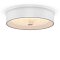 Потолочный светильник FR10011CL-L24W Элементы 24 Вт LED