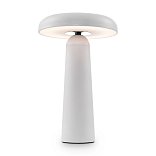 Аккумуляторный светильник Гриб / Mushroom