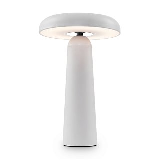 Аккумуляторный светильник Гриб / Mushroom