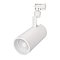 Светильник LGD-ZEUS-2TR-R100-30W Day5000 (WH, 20-60 deg) (Arlight, IP20 Металл, 3 года)