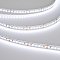 Светодиодная лента RT6-3528-180 24V White6000 3x (900 LED) (Arlight, 14.4 Вт/м, IP20)