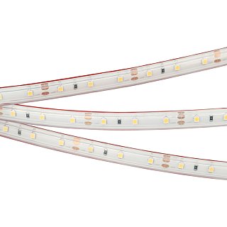 Светодиодная лента RTW 2-5000PS 12V White6000 (3528, 300 LED, LUX) (Arlight, 4.8 Вт/м, IP67)