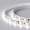 Светодиодная лента RT 2-5000 12V White6000 2x (5060, 300 LED, LUX) (Arlight, 14.4 Вт/м, IP20)