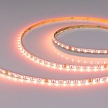 Светодиодная лента RT-H96-5mm 24V RGBW-Warm-4-in-1 (10 W/m, IP20, 5m) (Arlight, узкая)
