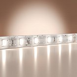 Светодиодная лента Базовая 24В 2835 9,6Вт/м 6000K 5м IP 65 201182