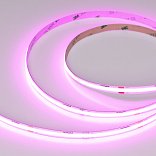Светодиодная лента COB-X480-8mm 24V Magenta (8 W/m, IP20, 5m) (Arlight, -)