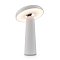 Аккумуляторный светильник Гриб / Mushroom