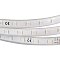 Светодиодная лента ARL-W5060PG-54-220V Blue (540 LED, 10m) (Arlight, 9 Вт/м, IP67)
