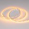 Светодиодная лента RT-A120-5mm 12V Yellow (9.6 W/m, IP20, 5m) (Arlight, 9.6 Вт/м, IP20)
