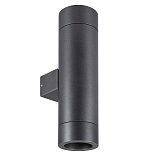 Светильник LGD-RAY-WALL-TWIN-R65-2x12W Day4000 (GR, 6 deg, 230V) (Arlight, IP65 Металл, 3 года)