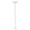 Светильник KT-MUCENA-BOLL-B-H540-4W Warm3000 (WH, 100 deg, 24V) (Arlight, IP65 Металл, 3 года)
