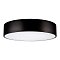 Светильник SP-TOR-PILL-R500-35W Day4000 (BK, 120 deg) (Arlight, IP20 Металл, 3 года)
