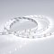 Светодиодная лента RT 2-5000 12V White6000 (3528, 300 LED, LUX) (Arlight, 4.8 Вт/м, IP20)