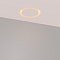 Светильник SP-ARCLOOP-TRIMLESS-D180-20W Day4000-Warm3000 (WH, 120 deg, 230V) (Arlight, Алюминий)