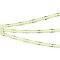 Светодиодная лента COB-X544-8mm 24V Green (11.5 W/m, IP20, 5m) (Arlight, -)