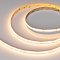 Светодиодная лента CSP-X840-12mm 24V RGBW-MIX (16 W/m, IP20, 5m) (Arlight, RGB-CCT, RGB-MIX, RGB-White MIX)