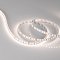 Светодиодная лента MICROLED-M120-8mm 24V Day5000 (14 W/m, IP20, 2216, 5m) (Arlight, Открытый)