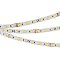 Светодиодная лента RT-B60-10mm 24V White-MIX 2Ch (14.4 W/m, IP20, 5060, 5m) (Arlight, Изменяемая ЦТ)