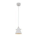 Подвесной светильник FR5211PL-01W Уютный / Cozy E14x1