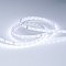 Светодиодная лента IC 2-30000 24V Cool 8K 10mm (2835, 60 LED/m, LUX) (Arlight, 4.6 Вт/м, IP20)