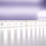 Светодиодная лента 24В 2835 9,6Вт/м 6000K 5м IP65