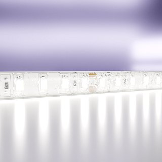 Светодиодная лента 24В 2835 9,6Вт/м 6000K 5м IP65