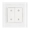 Панель SMART-P47-DIM-G-SUF (3V, 1 зона, Knob, 2.4G) (Arlight, Стекло)