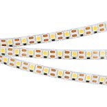 Светодиодная лента RT 2-5000 12V Cx1 Warm2400 2x (5060, 360 LED, LUX) (Arlight, 15.6 Вт/м, IP20)