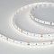 Светодиодная лента MICROLED-M120-8mm 24V Day5000 (6.5 W/m, IP20, 2216, 5m) (Arlight, Открытый)