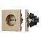 Механизм электрической розетки SCT-TENDO-MEU1-SFPL-GD (230V, 16A) (Arlight, Матовый песочный)