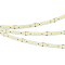 Светодиодная лента ULTRA-C180-10mm 24V Day5000 (19.2 W/m, IP20, 5630, 5m) (Arlight, высок.эфф.200 лм/Вт)