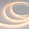 Светодиодная лента DOT-X192-10mm 24V Warm3000 (16 W/m, IP20, 5m) (Arlight, Открытый)