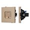 Механизм компьютерной розетки SCT-TENDO-MPC1-PL-GD (RJ-45, CAT6) (Arlight, Песочный)