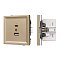 Механизм USB розетки SCT-TENDO-MUAC-SFPL-GD (5V, 3A, QC3) (Arlight, Матовый песочный)