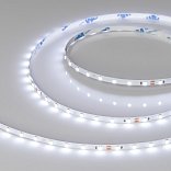 Светодиодная лента RT-A80-5mm 24V Cool 8K (5 W/m, IP20, 2835, 5m) (Arlight, Открытый)